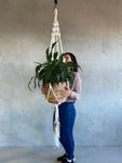 Deluxe Single Plant Hanger - assorted colours available